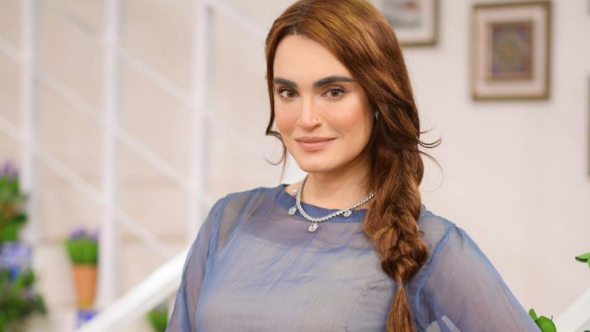 فراڈ کیس سے کوئی تعلق نہیں ، نادیہ حسین