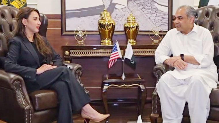 محسن نقوی سے امریکی سفیرکی ملاقات،مذاکرات کےانتظامات پر گفتگو