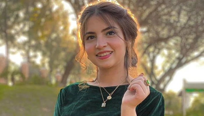 محبت کیلئےاپنے کیرئیرپرکبھی سمجھوتہ نہیں کروں گی: دنانیر مبین
