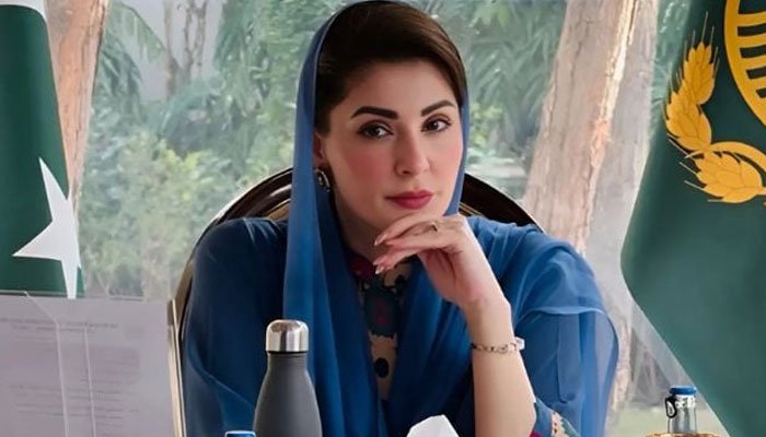 گلی،محلوں میں آلائشیں پھینکنے والوں کو 50ہزار روپے جرمانہ ہو گا: مریم نواز