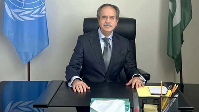 دہشتگردی کے متاثرین کی بلاامتیازحمایت ضروری ہے،پاکستانی مندوب