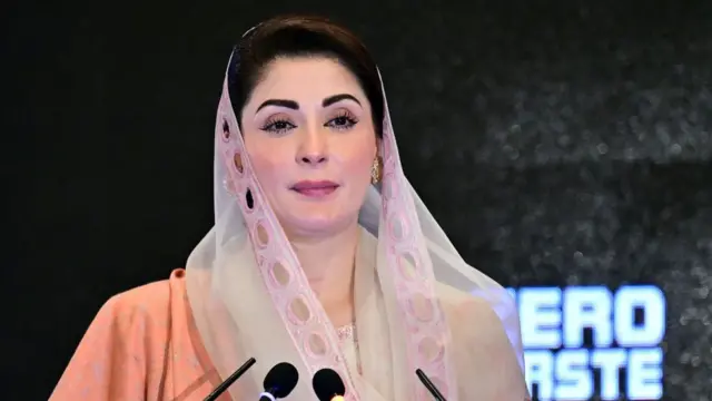 پولیو ورکرز قوم کے ہیرو، پنجاب سے پولیو کا 100 فیصد خاتمہ ہمارا عزم ہے: مریم نواز